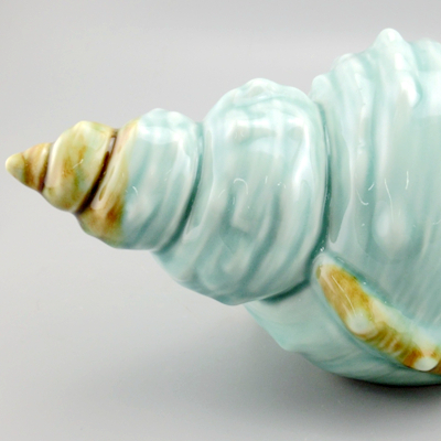 pottery shells