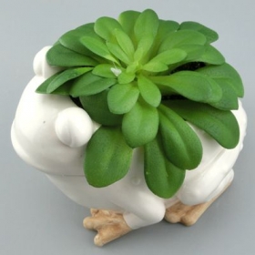 Kawaii Frog Cute Planter Pot For Home