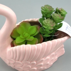 Pink Swan Planter Animal Mini Planter Pot