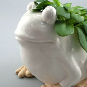 Kawaii Frog Cute Planter Pot For Home