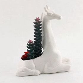 Ceramic Giraffe Planter White with Plants