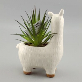 Cute Llama Alpaca Plant Pot with Filled Plants