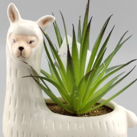 Cute Llama Alpaca Plant Pot with Filled Plants