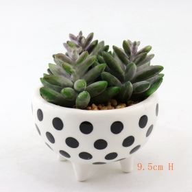 Footed Mini Ceramic Planter and Pots