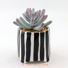 Black Dots Mini Ceramic Succulent Plant Pots Black Stripe Terracotta Mini Pot