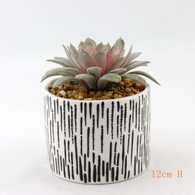 White and Black Painted Ceramic Desktop Mini Succulent Plant Pots