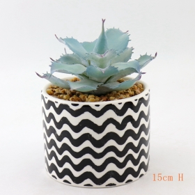 White and Black Painted Ceramic Desktop Mini Succulent Plant Pots