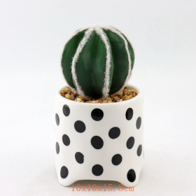 Black Dots Mini Ceramic Succulent Plant Pots Black Stripe Terracotta Mini Pot