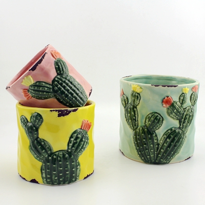 Ceramic Cactus Planter Sets Ceramic Cactus Planter Sets