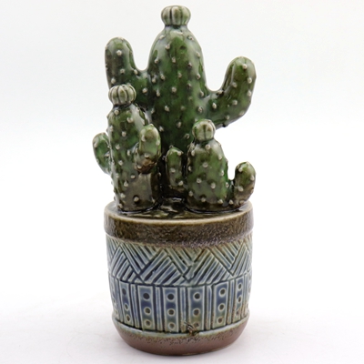 Cactus Decoration Ideas Cactus Decoration Ideas