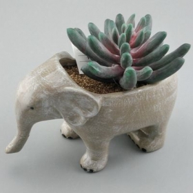 Elephant Succulent Planter Ceramic Animal Pot