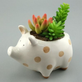Pig Mini planter Animal Ceramic Pot