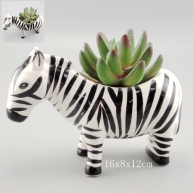 Zebra Succulent Pot Mini Ceramic Plant Pot