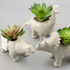 Ceramic Dinosaur Succulent Planter Grey Dinosaur Lovers