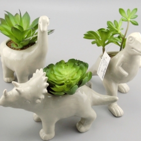 Ceramic Dinosaur Succulent Planter Grey Dinosaur Lovers