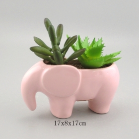 Ceramic filled mini elephant planter white