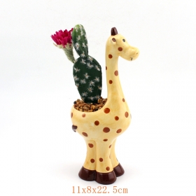 Cute ceramic giraffe planter filled with flowers