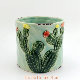 Ceramic Cactus Planter Pot Set of 3