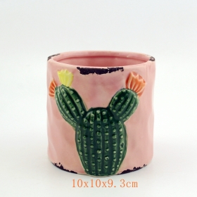 Ceramic Cactus Planter Pot Set of 3