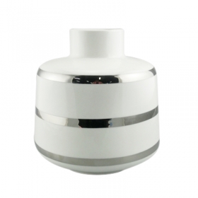 Mordern White And Electroplating Silver Striped Vase