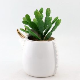 Ceramic Dino Eyeglasses Holder and Planter