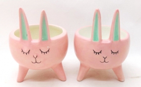 Most Popular Terra Cotta Rabbit Face Pot