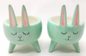 Most Popular Terra Cotta Rabbit Face Pot