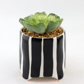 Black Dots Mini Ceramic Succulent Plant Pots Black Stripe Terracotta Mini Pot